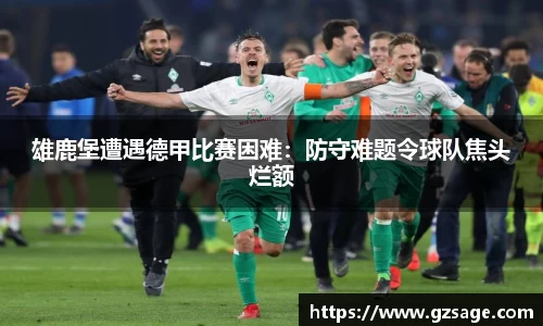 雄鹿堡遭遇德甲比赛困难：防守难题令球队焦头烂额