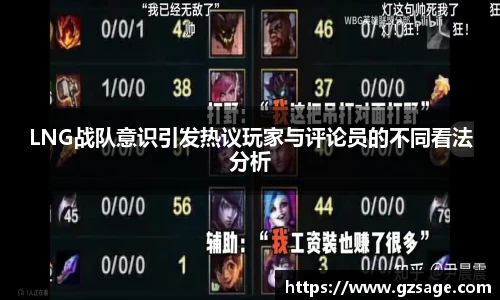 LNG战队意识引发热议玩家与评论员的不同看法分析