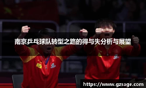 南京乒乓球队转型之路的得与失分析与展望