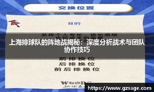 上海排球队的阵地战揭秘：深度分析战术与团队协作技巧