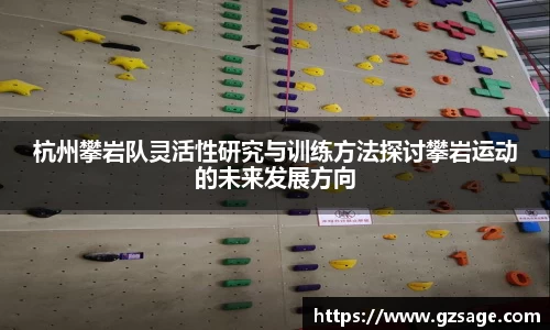 杭州攀岩队灵活性研究与训练方法探讨攀岩运动的未来发展方向