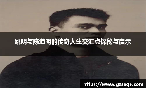 姚明与陈道明的传奇人生交汇点探秘与启示